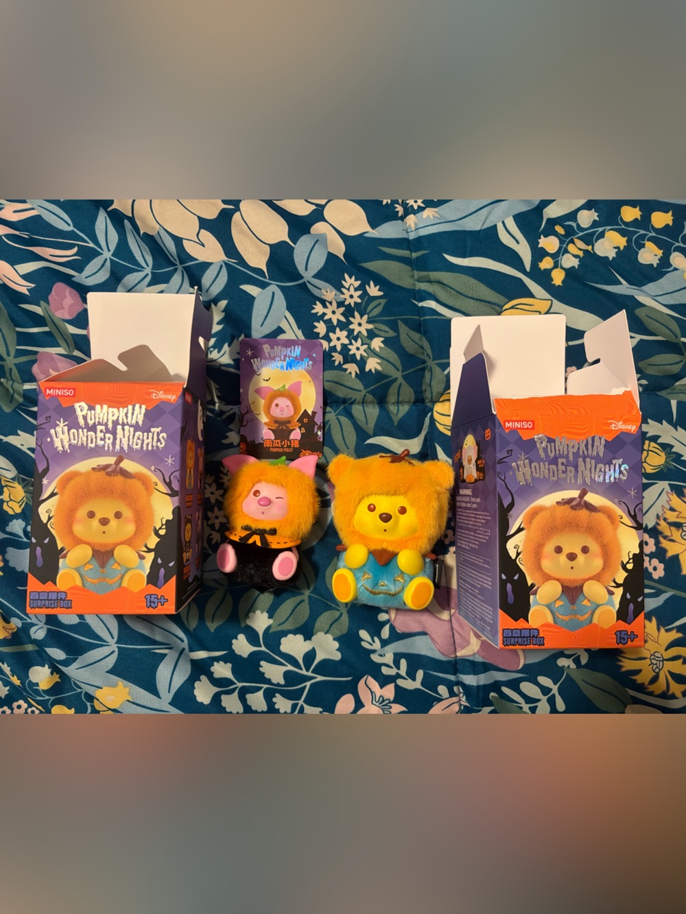 Pumpkin Wonder Nights